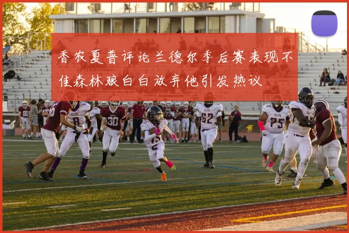 香农夏普评论兰德尔季后赛表现不佳森林狼白白放弃他引发热议