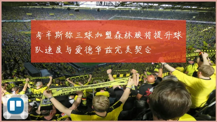 考辛斯称三球加盟森林狼将提升球队速度与爱德华兹完美契合