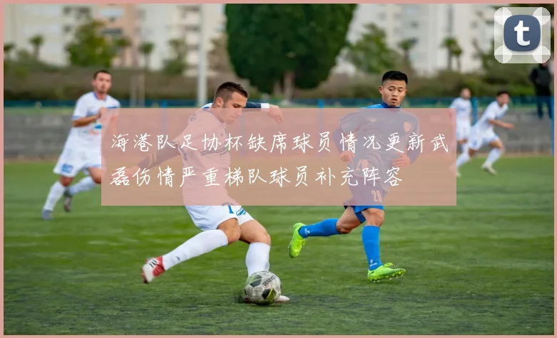 海港队足协杯缺席球员情况更新武磊伤情严重梯队球员补充阵容