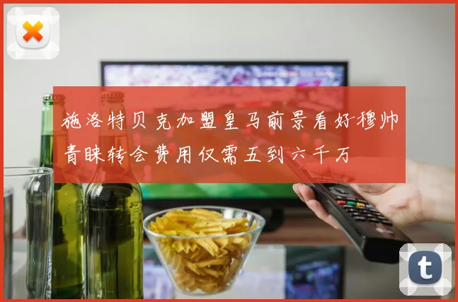施洛特贝克加盟皇马前景看好穆帅青睐转会费用仅需五到六千万