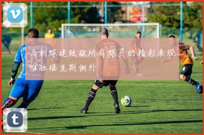 马刺球迷致敬所有球员的精彩表现唯独福克斯例外